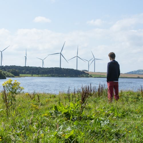 man looking at wind turbines