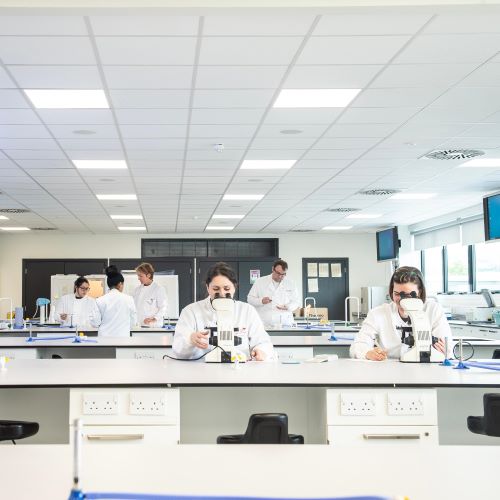 People in a microbiology lab