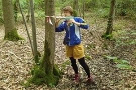 A researcher using a equipment to analyse a tree